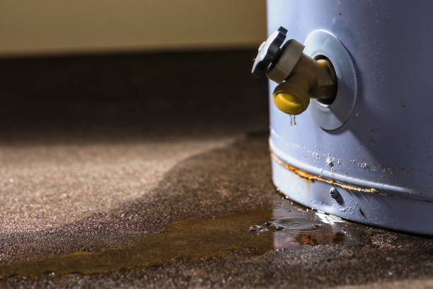 Best Water damage contractors near me  in Orosi, CA