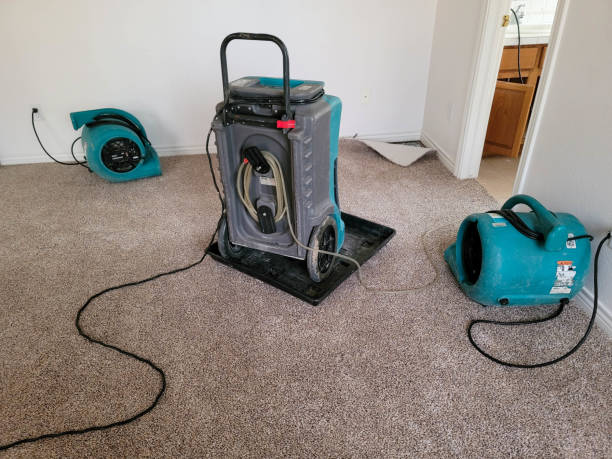 Best Water damage contractors near me  in Orosi, CA