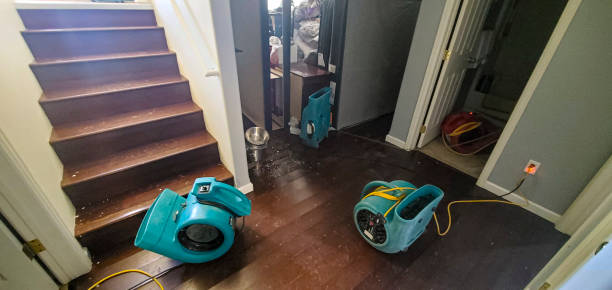 Best Water damage restoration company  in Orosi, CA
