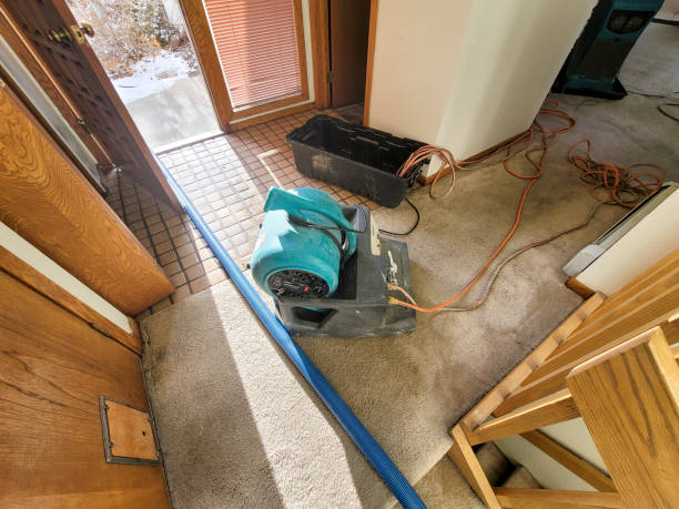 Best Carpet water damage restoration  in Orosi, CA