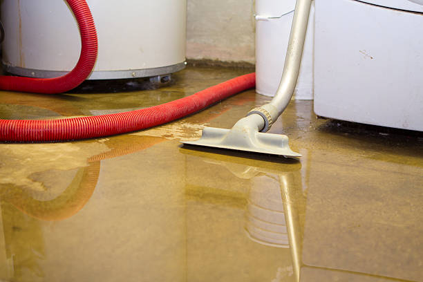 Best Mold removal after water damage  in Orosi, CA