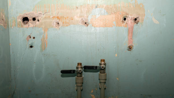 Best Fire Damage Restoration  in Orosi, CA